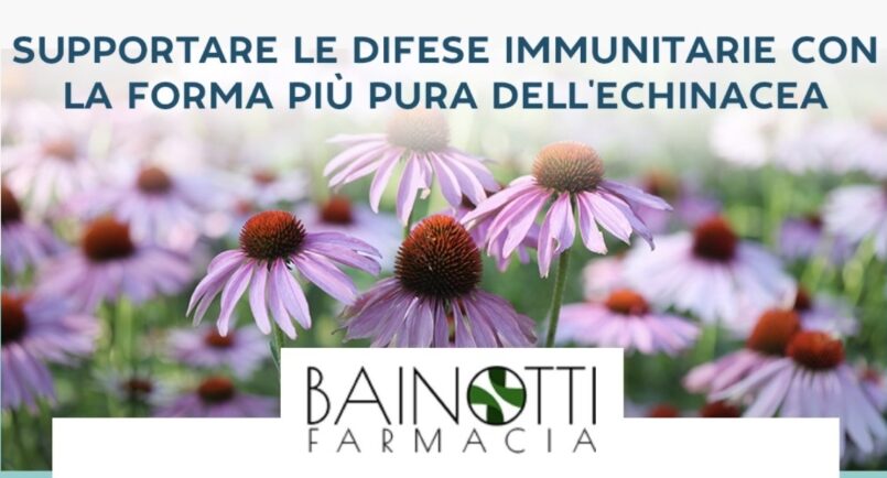Echinacea: quale scegliere per il massimo beneficio